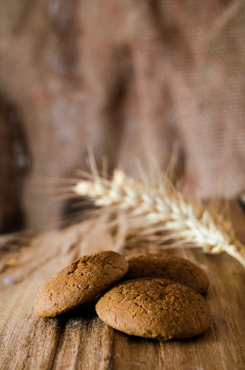 Galleta campurriana