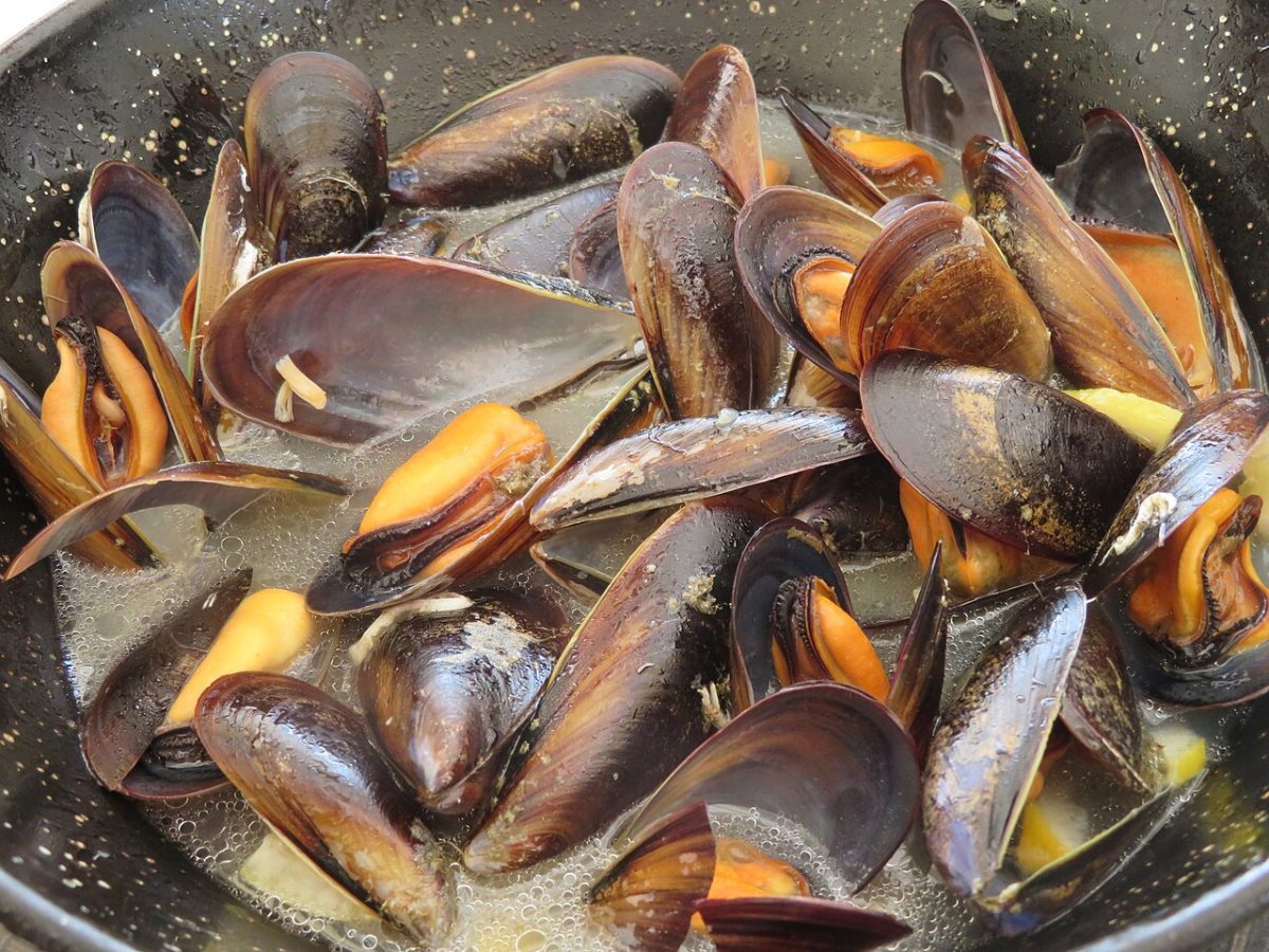 Mejillones al vapor