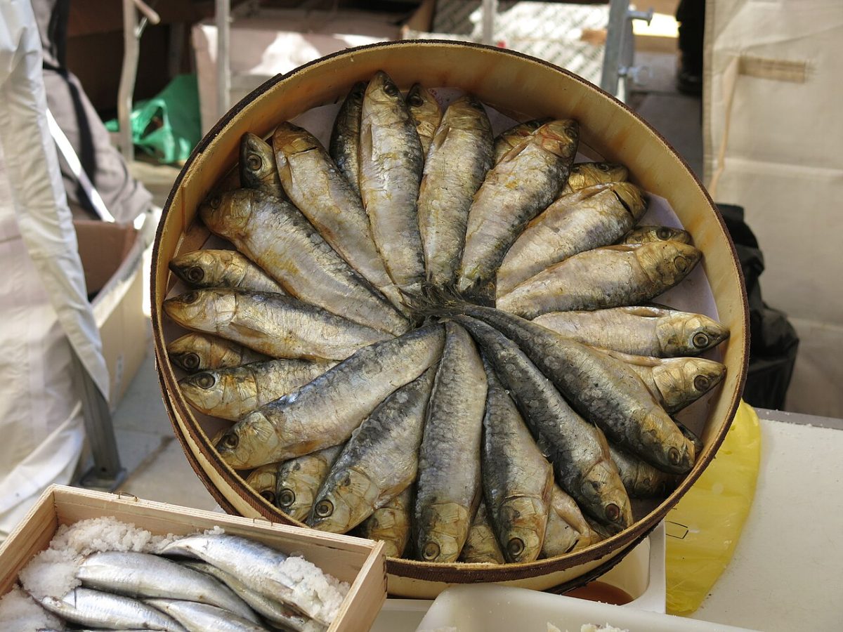 Sardinas en el microondas